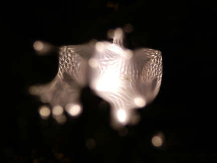 20120317 150720
